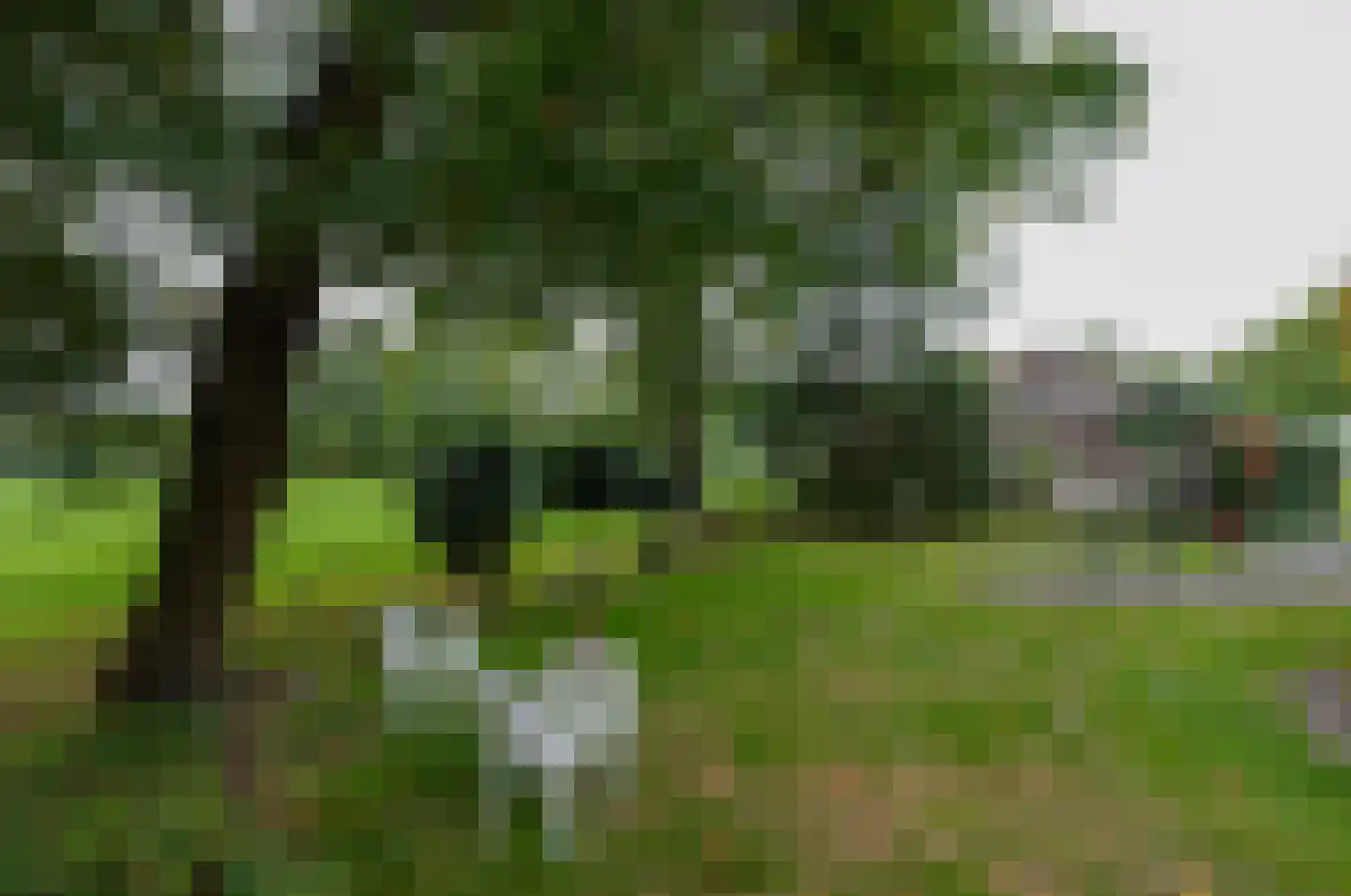 Roderwolderweg 14 A Foxwolde thumbnail 51