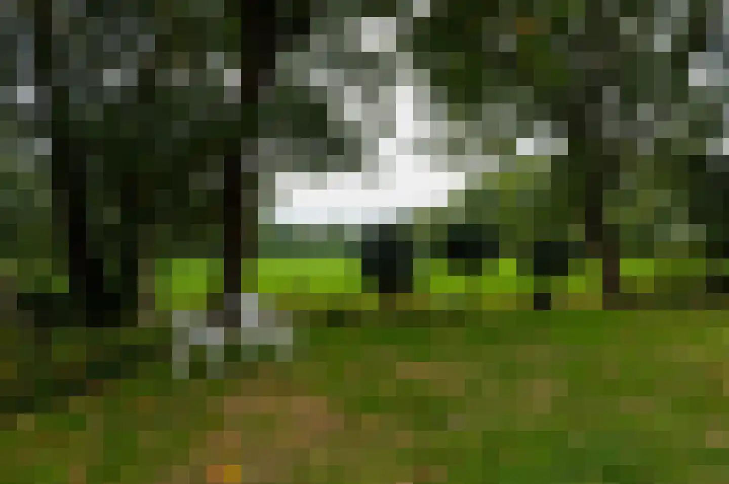 Roderwolderweg 14 A Foxwolde thumbnail 52