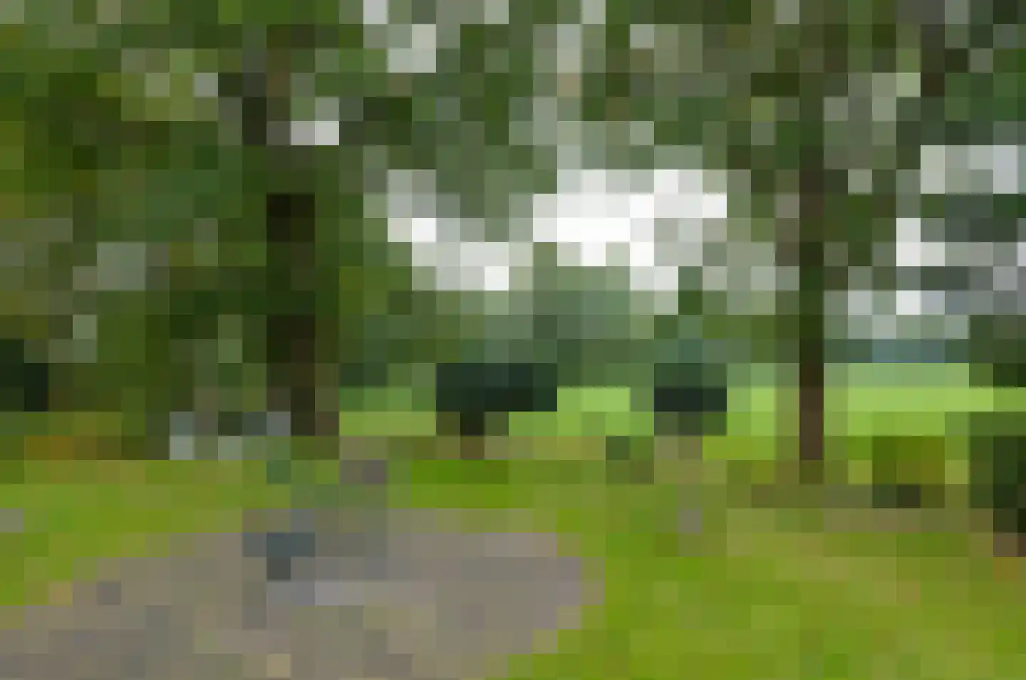 Roderwolderweg 14 A Foxwolde thumbnail 53