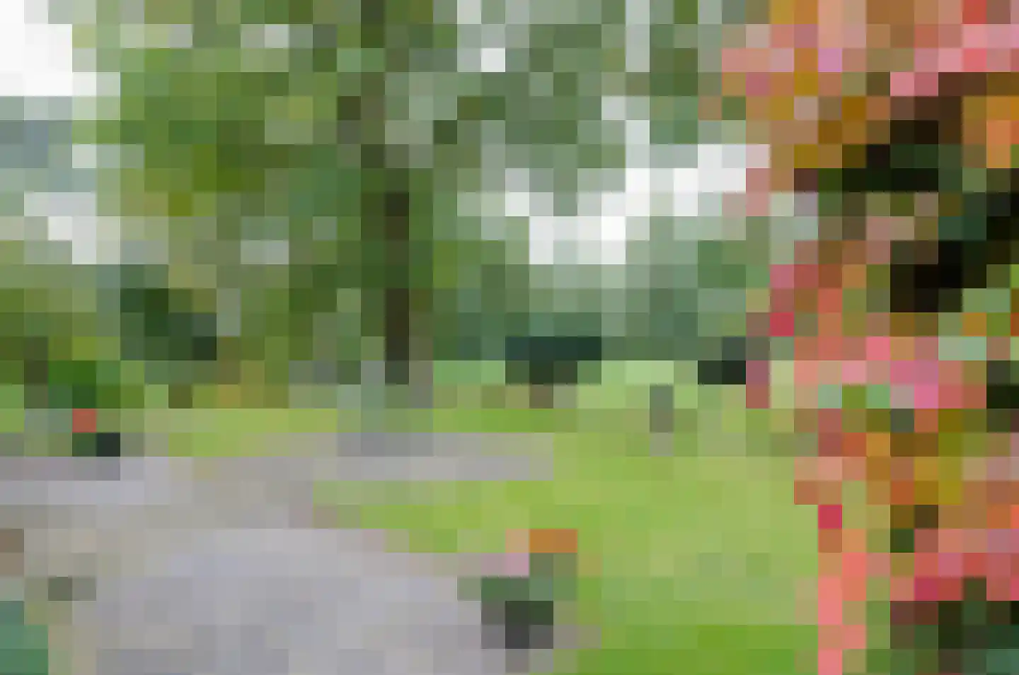 Roderwolderweg 14 A Foxwolde thumbnail 54
