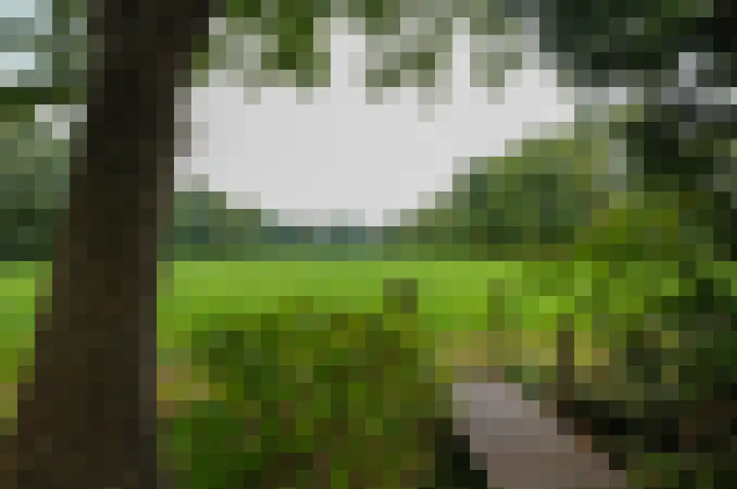 Roderwolderweg 14 A Foxwolde thumbnail 55