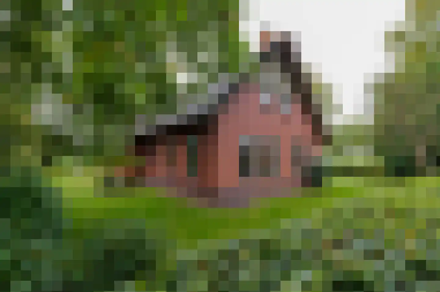 Roderwolderweg 14 A Foxwolde thumbnail 56
