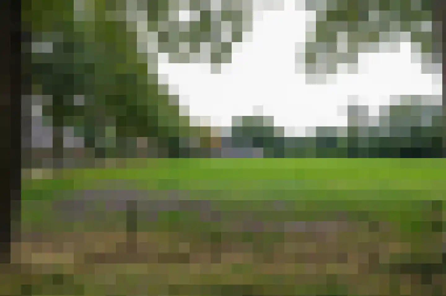 Roderwolderweg 14 A Foxwolde thumbnail 62