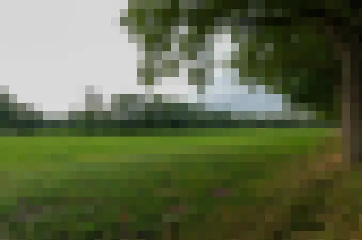 Roderwolderweg 14 A Foxwolde thumbnail 63
