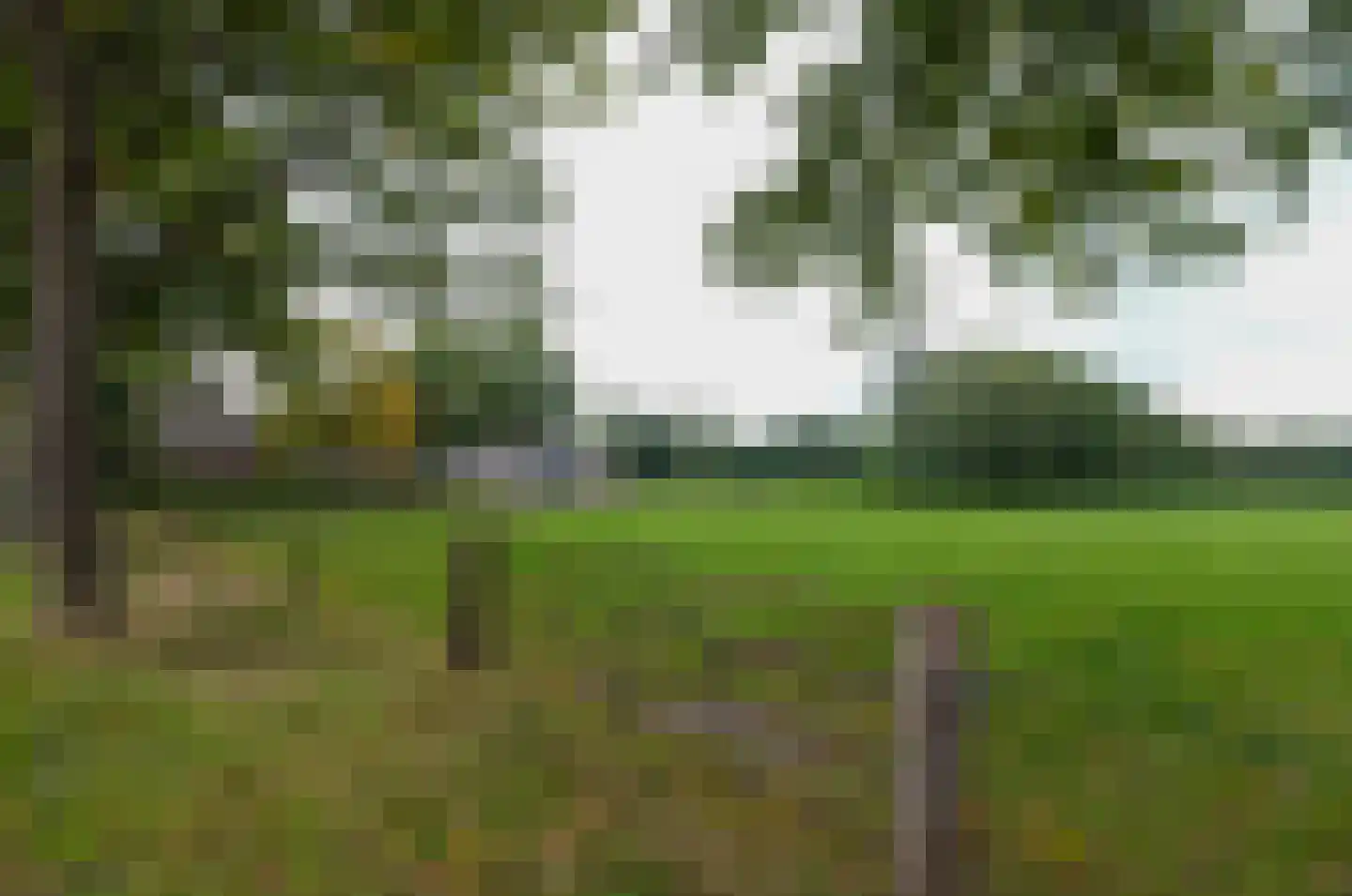 Roderwolderweg 14 A Foxwolde thumbnail 66