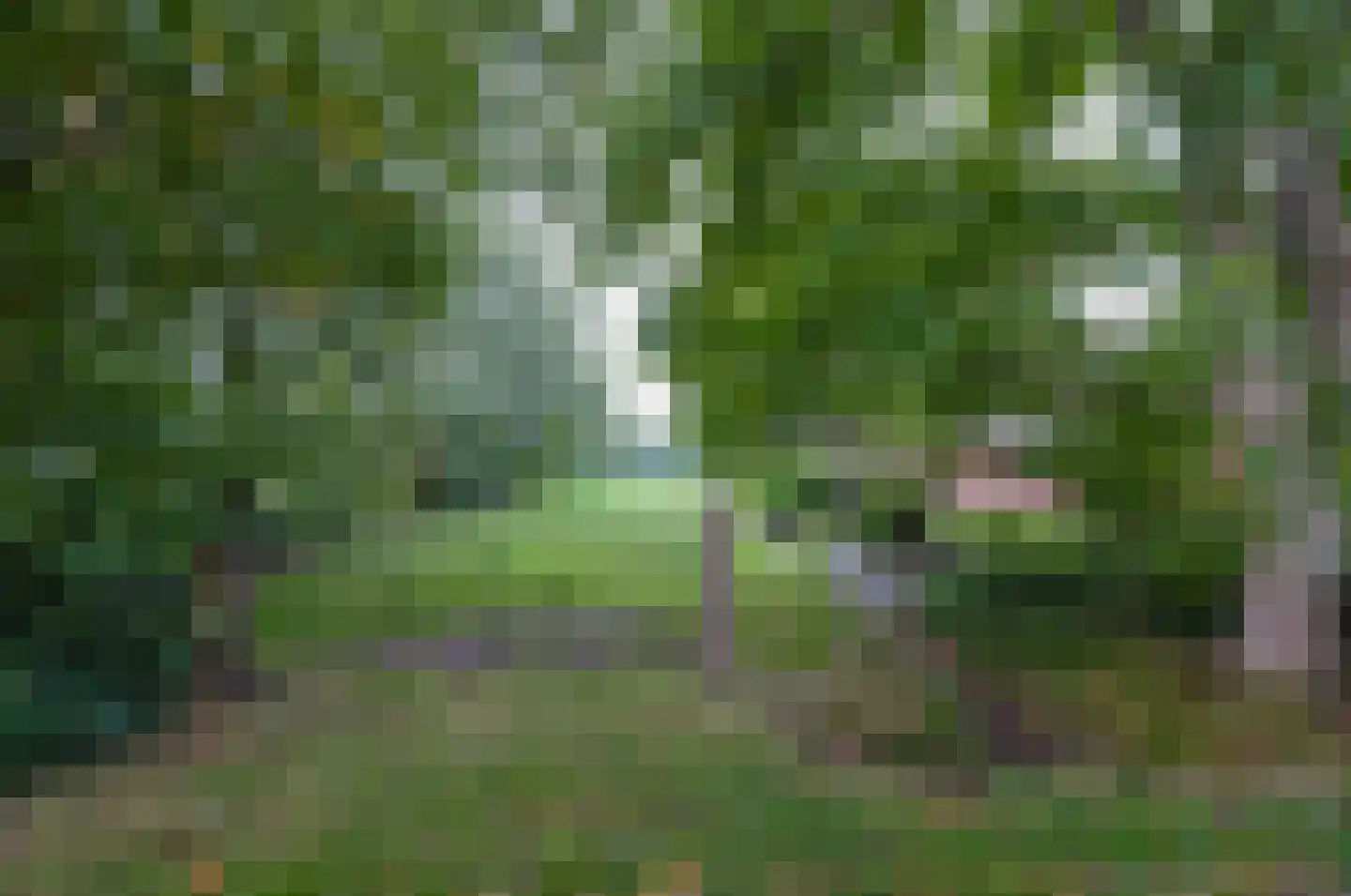 Roderwolderweg 14 A Foxwolde thumbnail 68