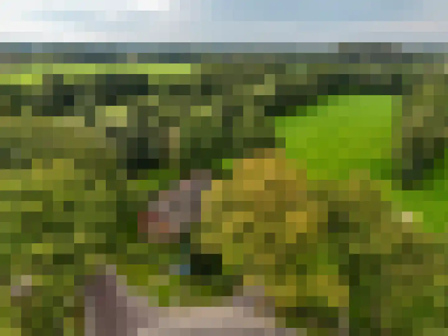 Roderwolderweg 14 A Foxwolde thumbnail 69