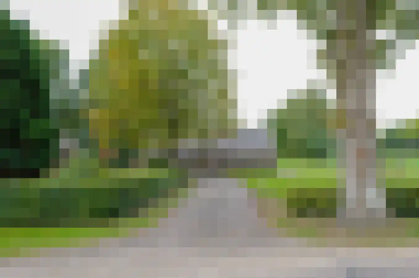 Roderwolderweg 14 A Foxwolde thumbnail 7