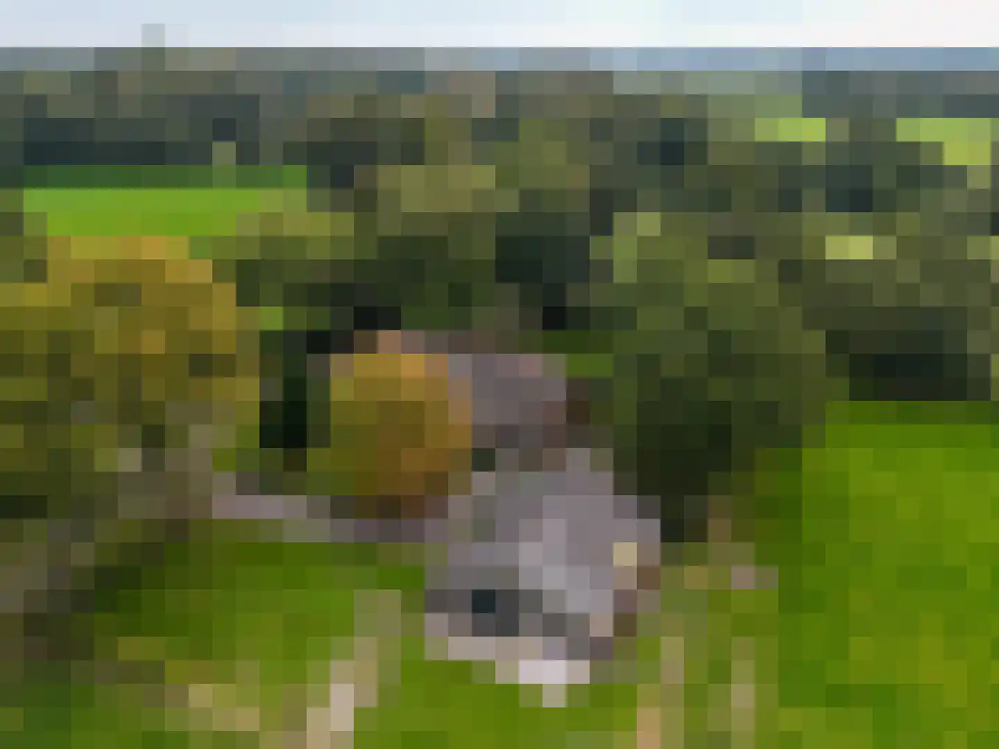 Roderwolderweg 14 A Foxwolde thumbnail 72