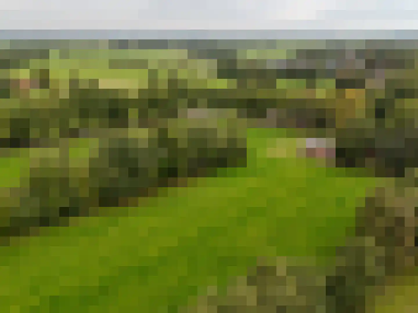 Roderwolderweg 14 A Foxwolde thumbnail 73