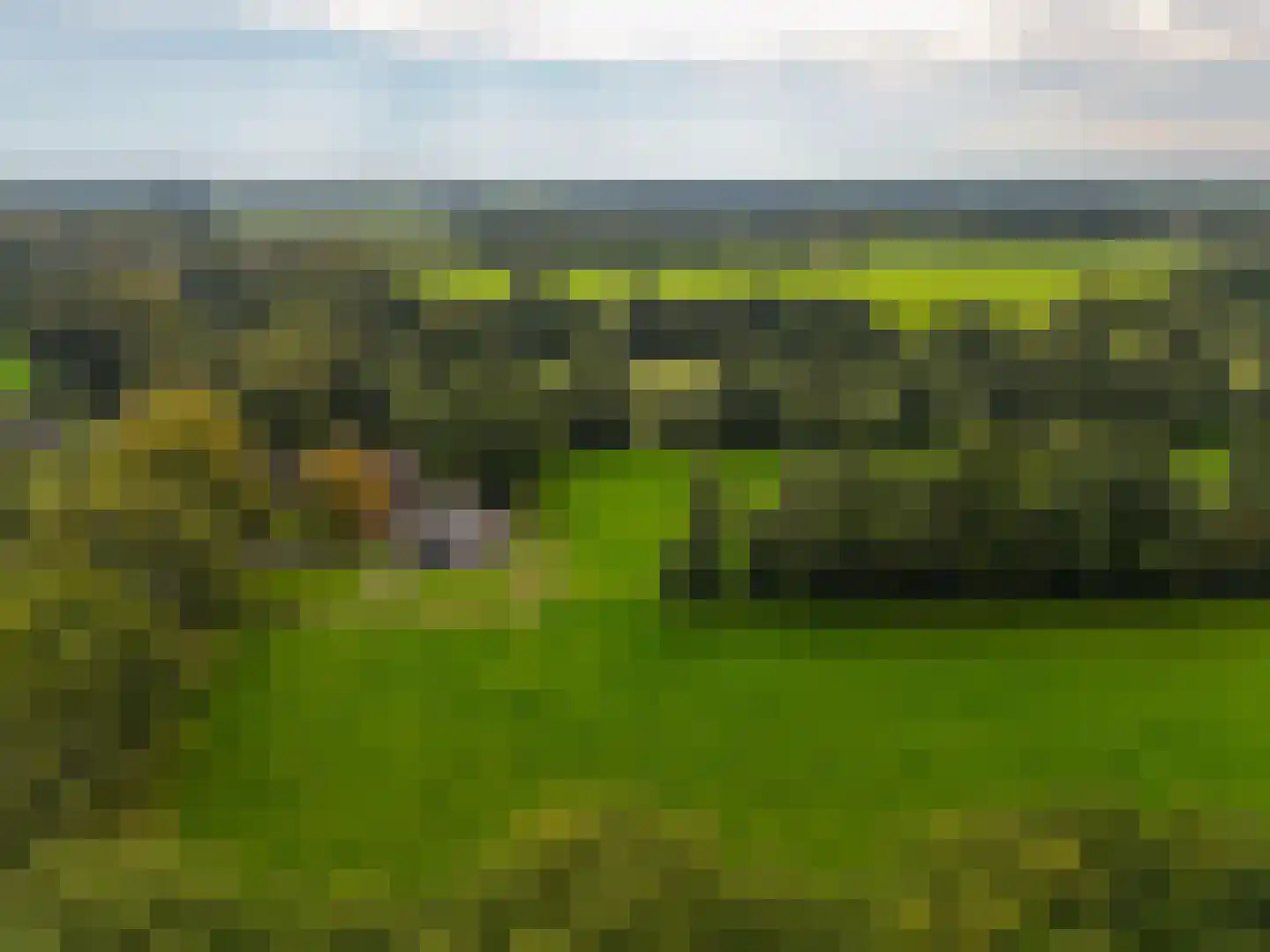Roderwolderweg 14 A Foxwolde thumbnail 74