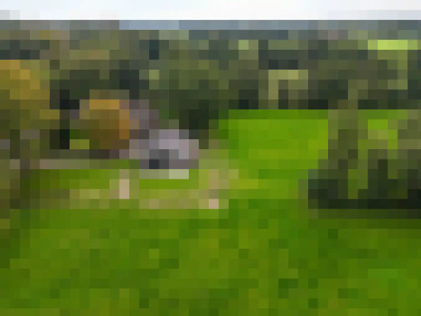 Roderwolderweg 14 A Foxwolde thumbnail 77