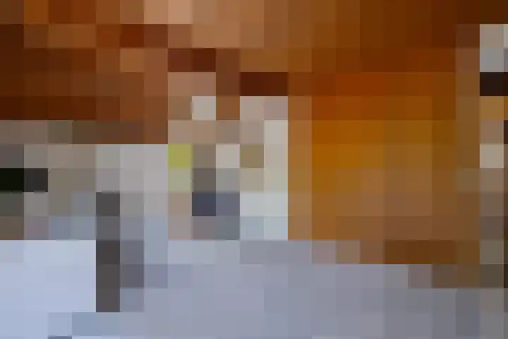 Roderwolderweg 17 Foxwolde thumbnail 26