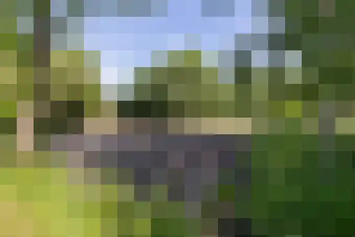 Roderwolderweg 17 Foxwolde thumbnail 43