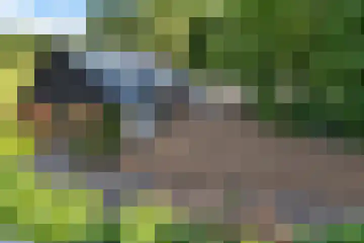 Roderwolderweg 17 Foxwolde thumbnail 47