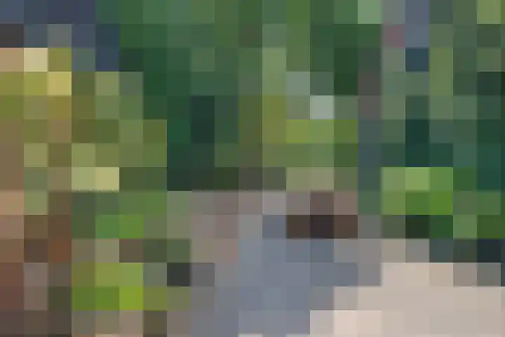 Roderwolderweg 17 Foxwolde thumbnail 50