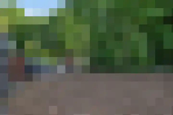 Roderwolderweg 17 Foxwolde thumbnail 51