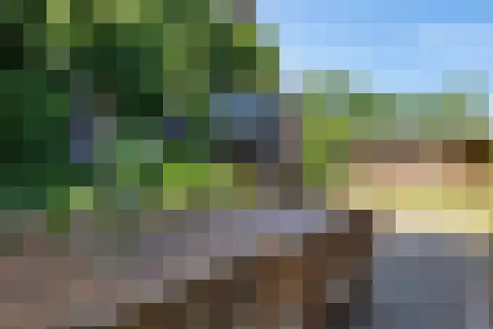 Roderwolderweg 17 Foxwolde thumbnail 53