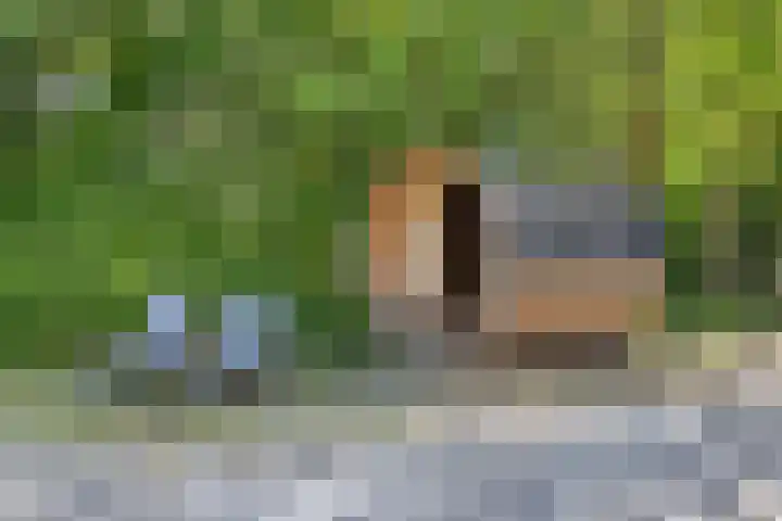 Roderwolderweg 17 Foxwolde thumbnail 55