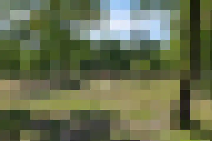 Roderwolderweg 17 Foxwolde thumbnail 57
