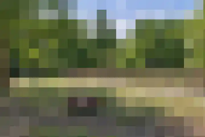 Roderwolderweg 17 Foxwolde thumbnail 58