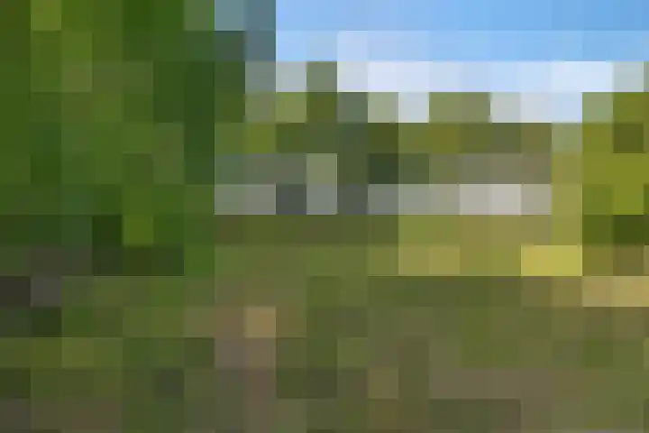 Roderwolderweg 17 Foxwolde thumbnail 60