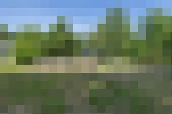Roderwolderweg 17 Foxwolde thumbnail 61