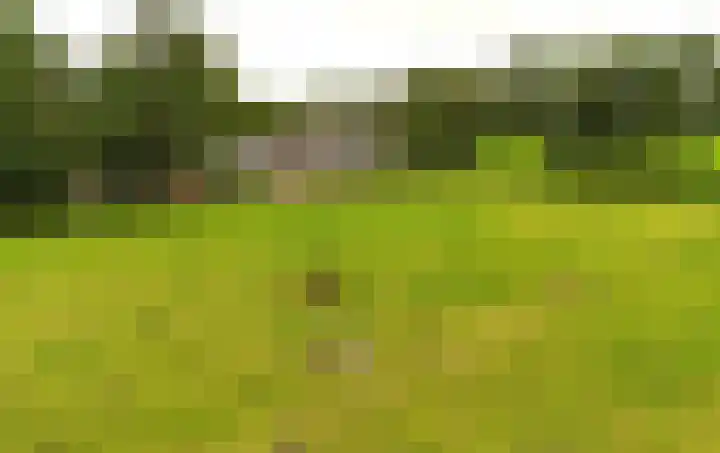 Roderwolderweg 17 Foxwolde thumbnail 64