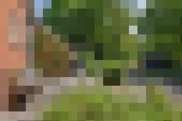 Roderwolderweg 17 Foxwolde thumbnail 7