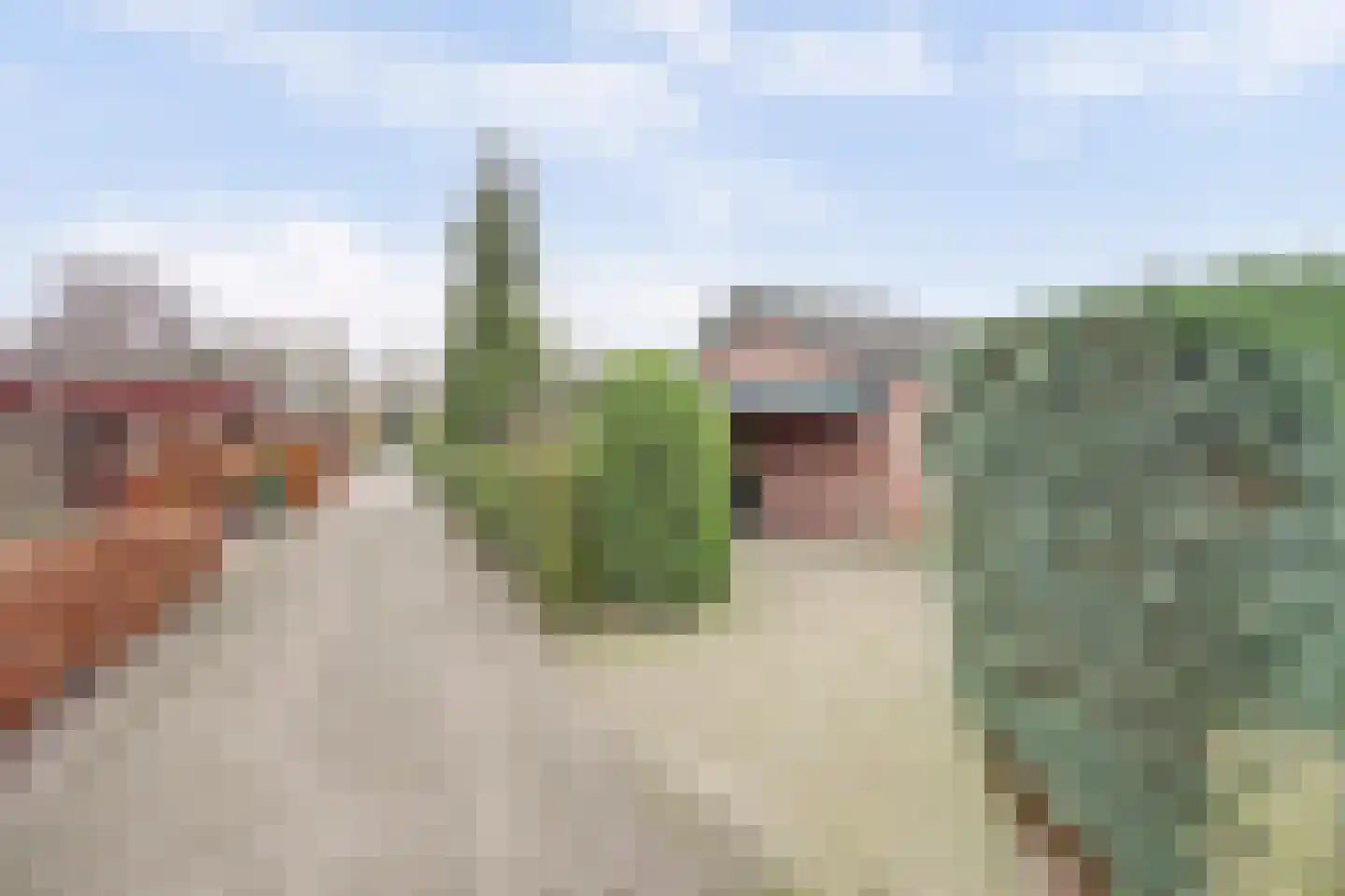 Rodeschuurderwegje 11 9 Ermelo thumbnail 28