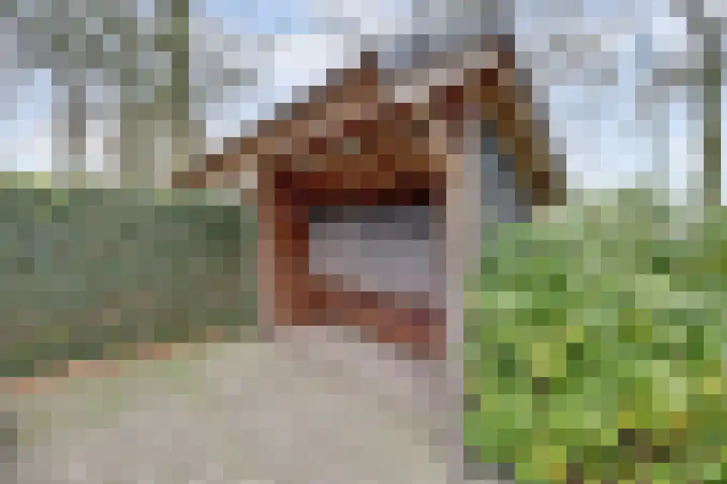 Rodeschuurderwegje 11 9 Ermelo thumbnail 32