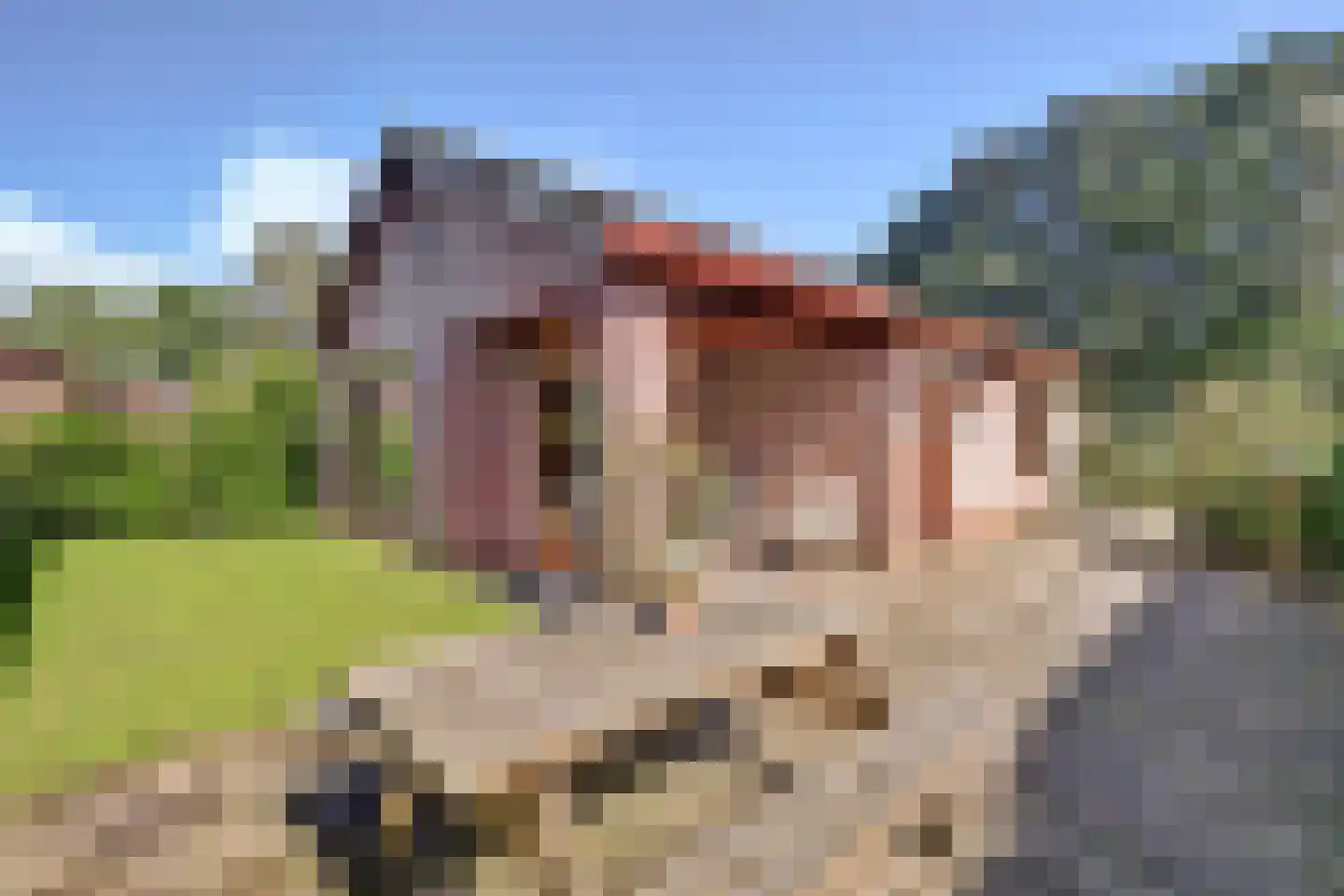 Rodeschuurderwegje 9 19 Ermelo foto 2