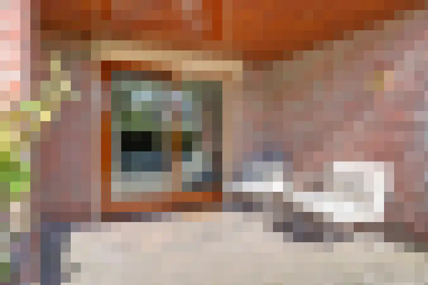 Rodeschuurderwegje 9 19 Ermelo thumbnail 30
