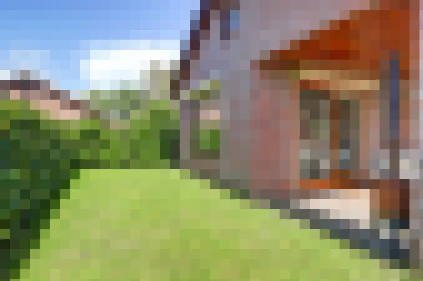 Rodeschuurderwegje 9 19 Ermelo thumbnail 31