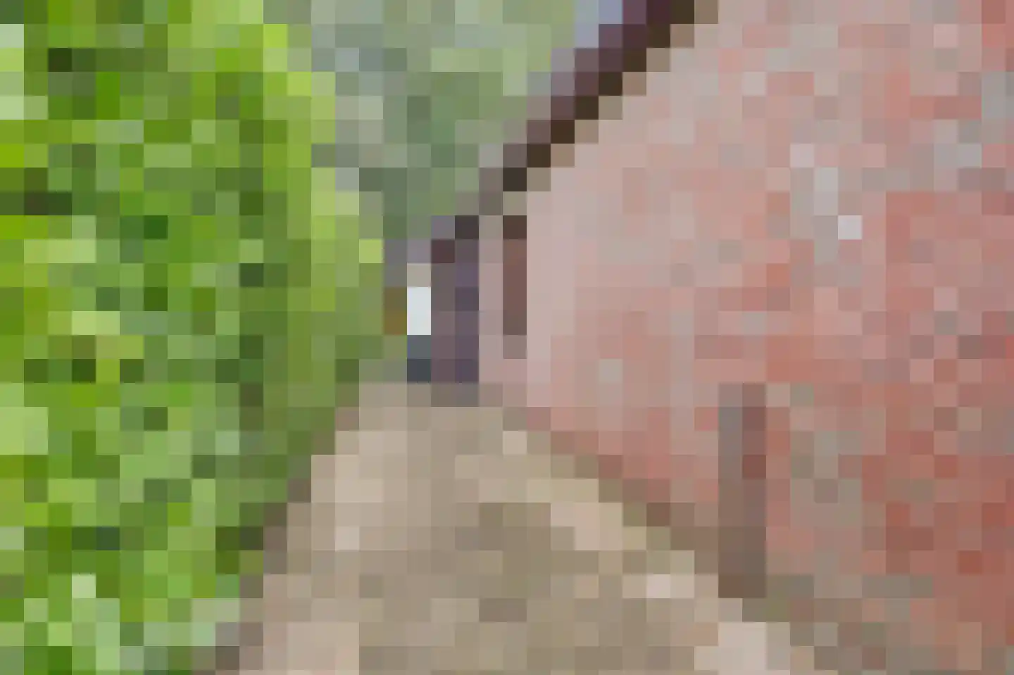 Rodeschuurderwegje 9 19 Ermelo thumbnail 33