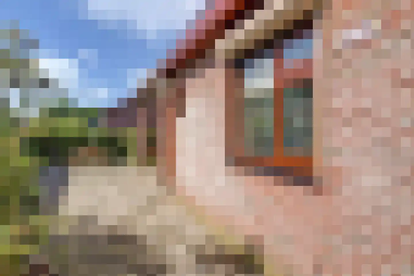 Rodeschuurderwegje 9 19 Ermelo thumbnail 34
