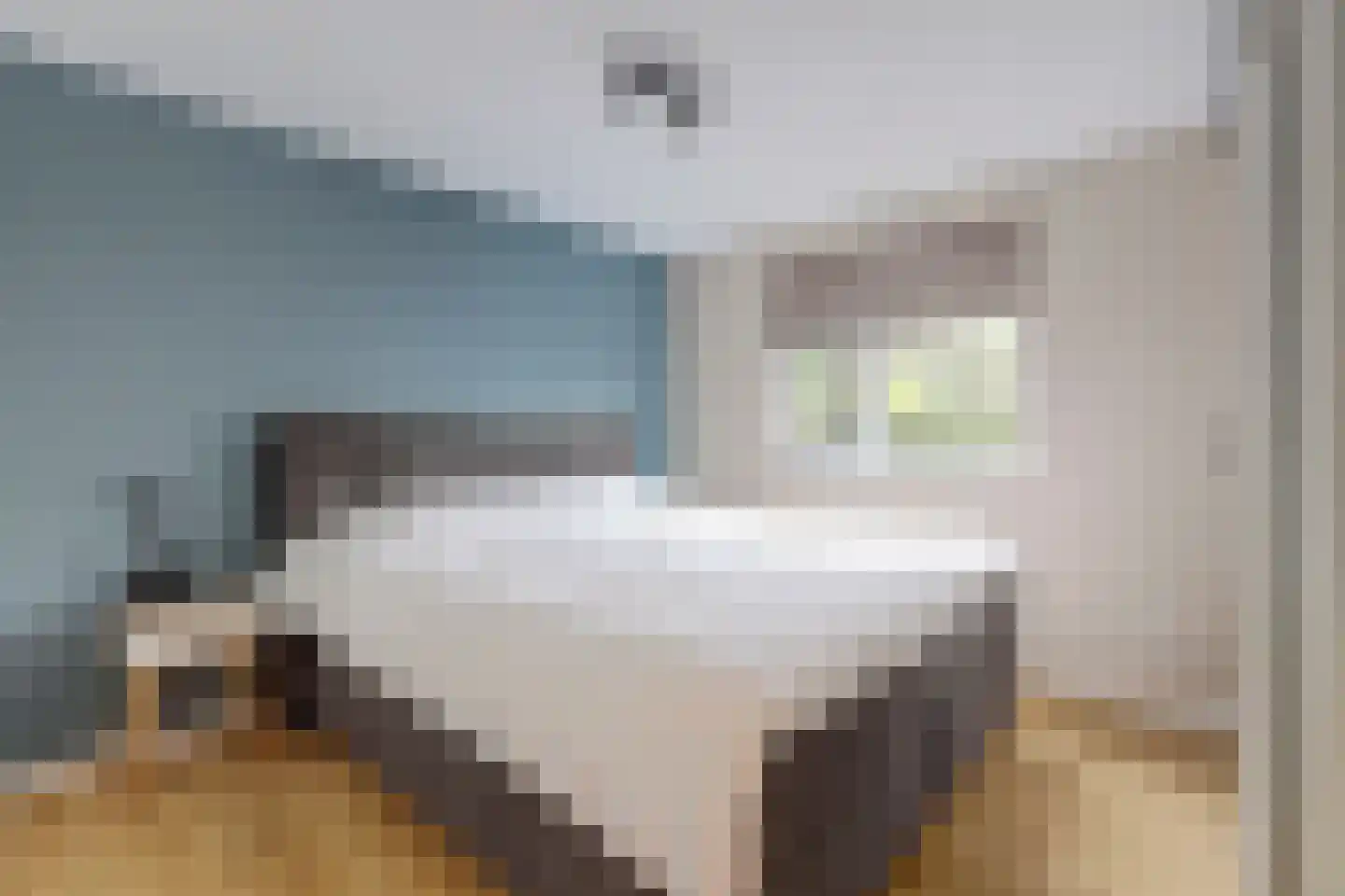 Rodeschuurderwegje 9 19 Ermelo thumbnail 4