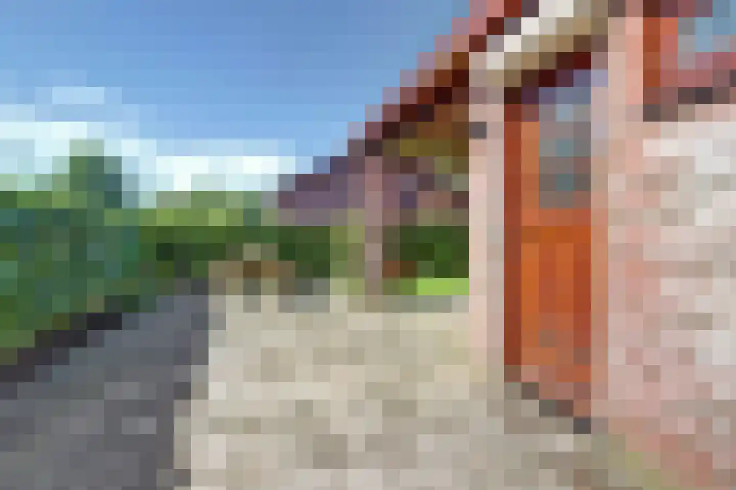 Rodeschuurderwegje 9 19 Ermelo thumbnail 7