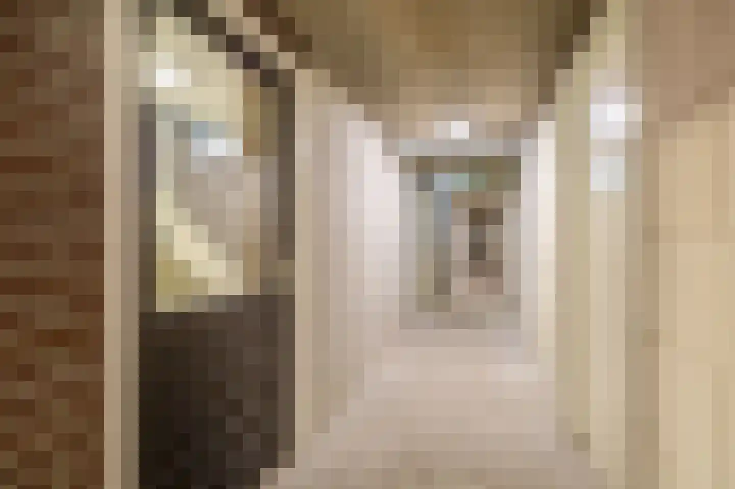 Rodestraat 109 Venlo thumbnail 20