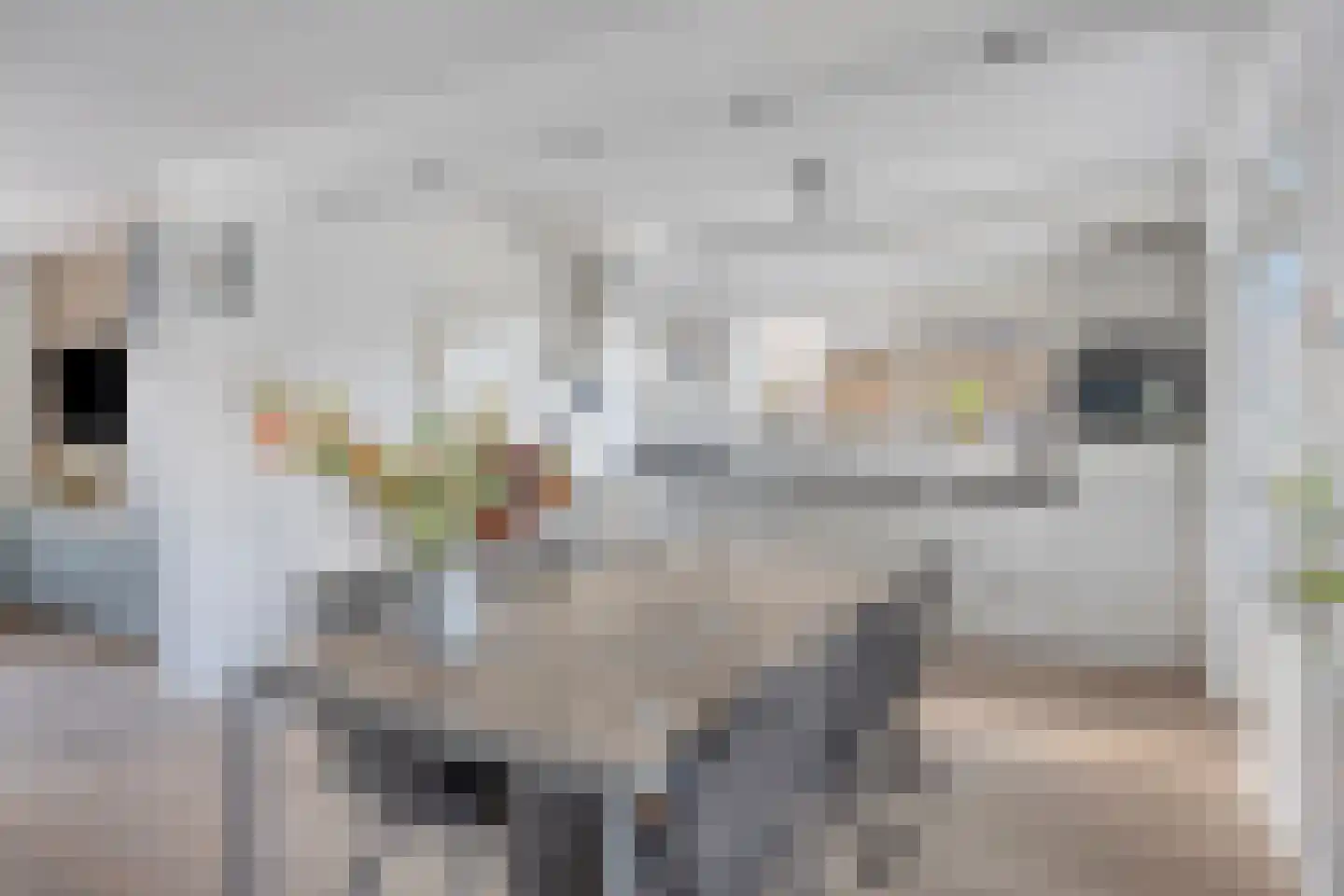 Rodestraat 25 Wittem thumbnail 15