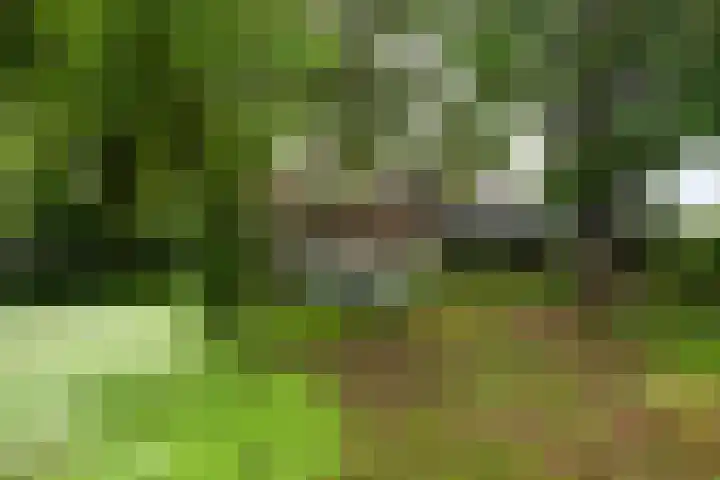 Rodestraat 29 Wittem thumbnail 41