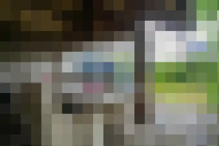 Rodestraat 29 Wittem thumbnail 42
