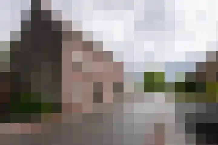 Rodestraat 29 Wittem thumbnail 43