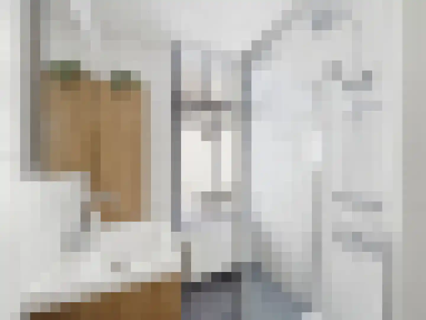 Rodetorenstraat 21 Zutphen thumbnail 11