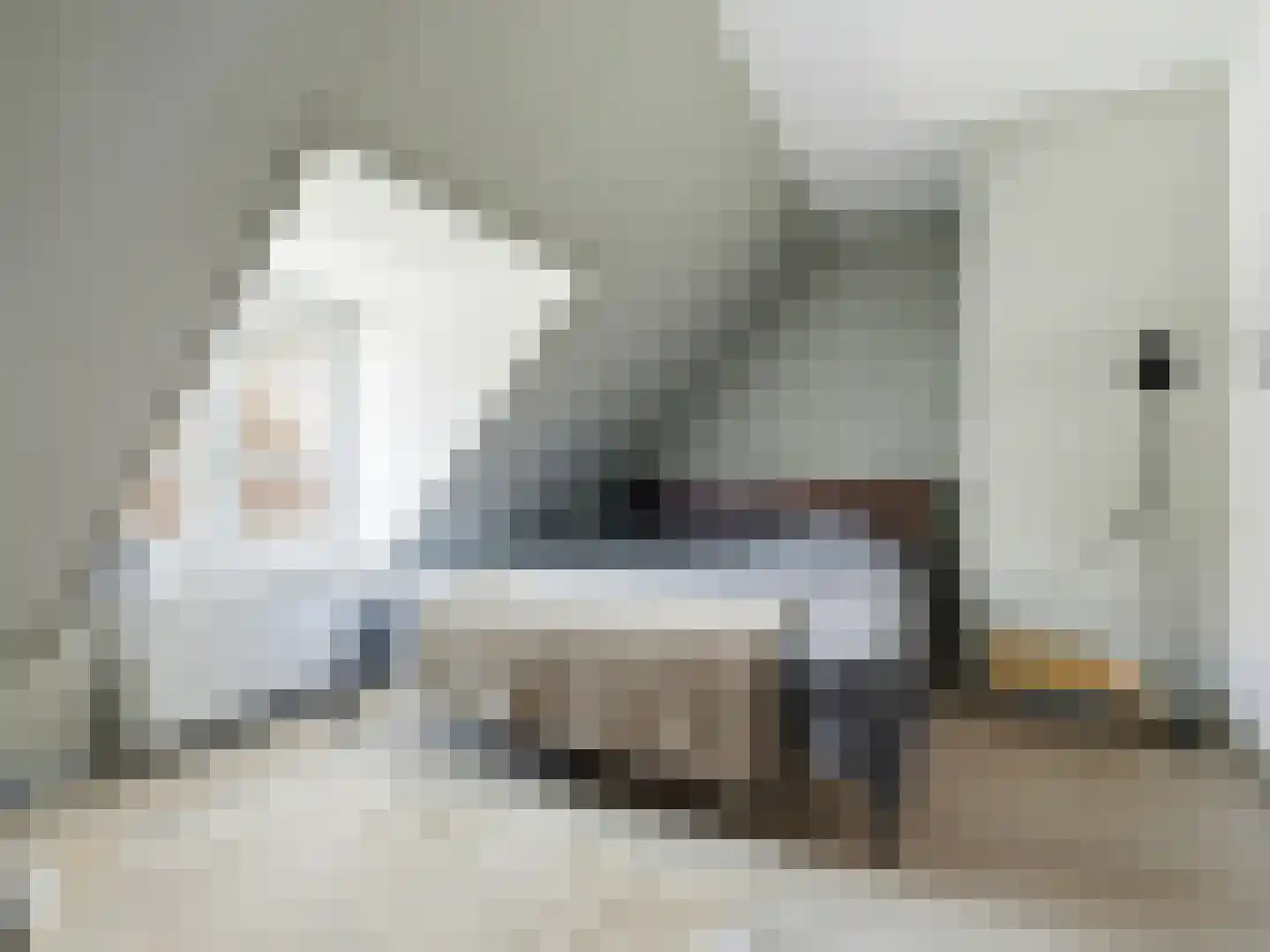 Rodetorenstraat 21 Zutphen thumbnail 16