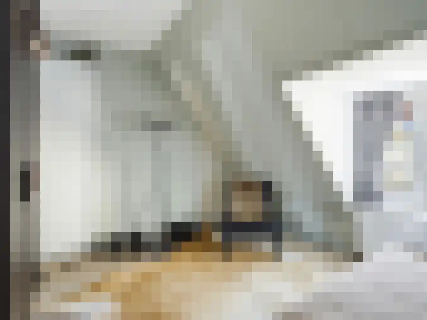 Rodetorenstraat 21 Zutphen thumbnail 17