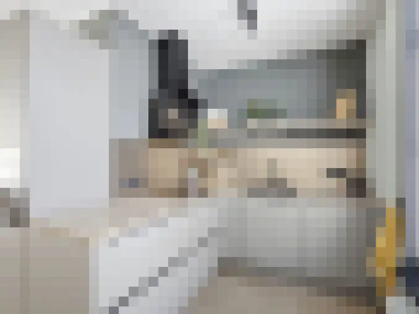 Rodetorenstraat 21 Zutphen thumbnail 9