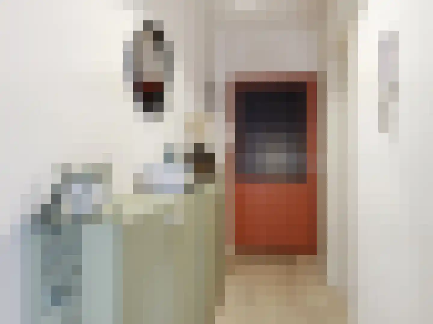 Rodetorenstraat 5 Zutphen thumbnail 19