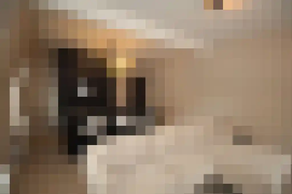 Rodeweg 1 a Groningen thumbnail 4