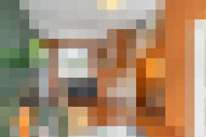 Rodeweg 24 Groningen thumbnail 10